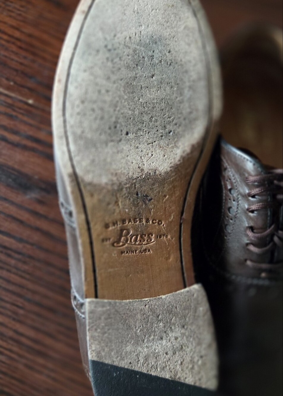 Wingtips - Picture 3 of 3